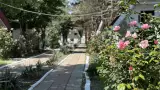 База отдыха «Динамо-2», г. Анапа